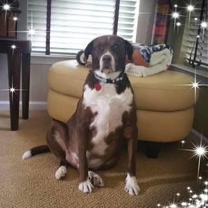 Meet your Posher, Raynell